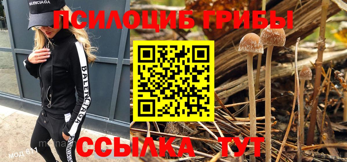 Галлюциногенные грибы ЛСД  Вход с VPN  Псилоцибиновые грибы GOLDEN TEACHER  Альметьевск 