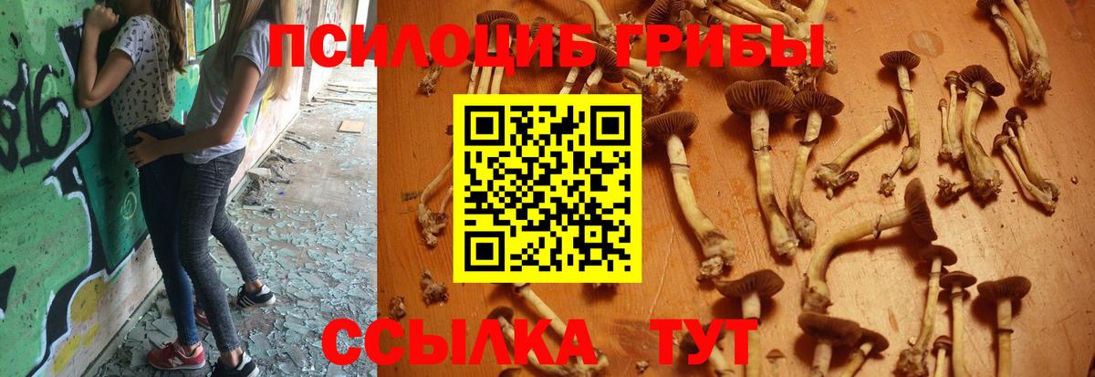 Галлюциногенные грибы мицелий Альметьевск